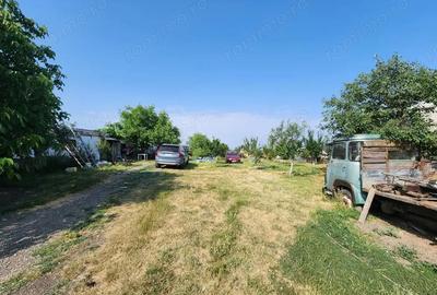 Spațiu comercial, de 600 mp, în Sânandrei - 1