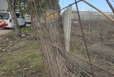 Teren Construcții intravilan de 2500 mp, în Sud-Est - 7