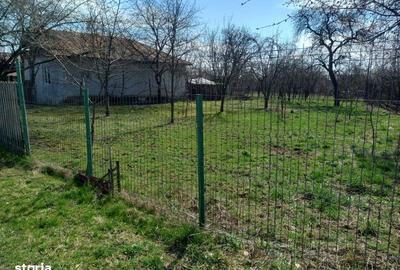 Teren de 2500 mp, în Scorțeni
