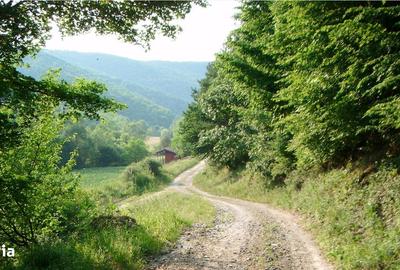 Teren de 6000 mp, în Vețel - 7