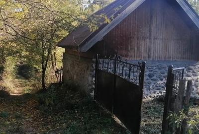 Casă cu 3 camere cu Teren 5200 Mp în Schela - 8