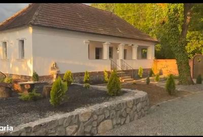 Casă cu 3 camere cu Teren 2000 Mp în Băcia - 13