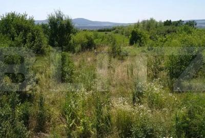 Teren de 7000 mp, în Central - 3