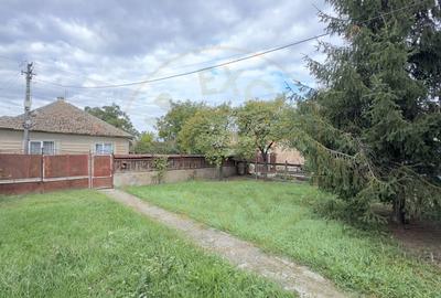 Casă individuală cu 3 camere cu Teren 3263 Mp în Carei - 9