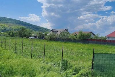 Teren de 940 mp, în Hemeiuș - 4
