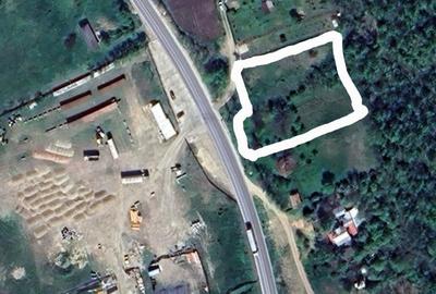 Teren de 3000 mp, în Schitu Duca - 1
