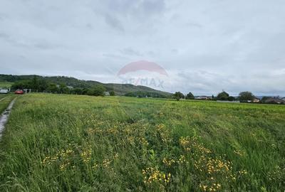 Teren Construcții intravilan de 1495 mp, în Dobreni - 16