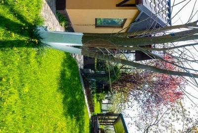 Casă individuală cu 5 camere cu Teren 1000 Mp în Belciugatele - 31