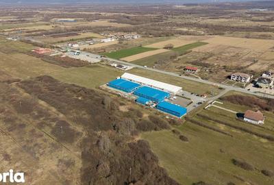 Teren de 7194 mp, în Carașova