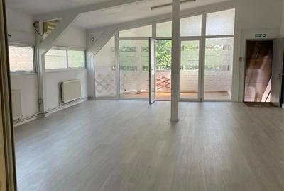 Spatiu de inchiriat Iancului - 1