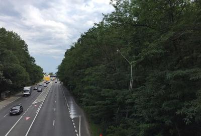 Teren DN1 - Padurea Petresti - 1