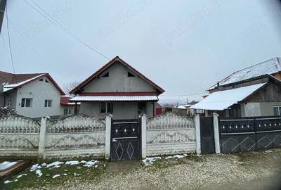 Casă cu 3 camere cu Teren 10000 Mp în Central