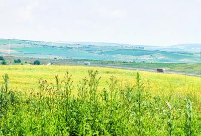 28.554 mp TEREN EXTRAVILAN, TURDA - SĂNDULEȘTI, jud. CLUJ, 300 m de AUTOSTRADA - 28