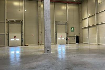 Spa?iu cu rafturi pentru Logistica/Depozitare - 3