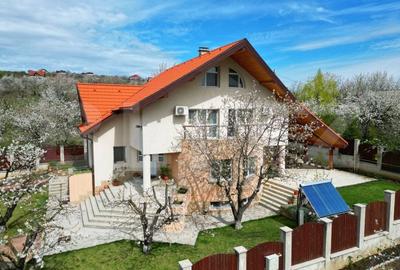 Casa boiereasca, rafinata si luxoasa cu 8 camere, 480mp, Chicerea - 7