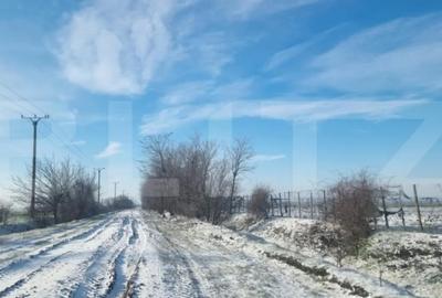 Teren de 50000 mp, în Ciorani - 4