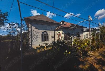 Casă cu 4 camere cu Teren 5000 Mp în Mircea Vodă - 8