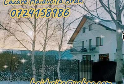 Casă cu 6 camere în Bran - 1