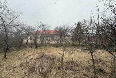 Teren de 1100 mp, în Murgași - 3