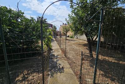 CASA TRADIȚIONALĂ ”MAGNOLIA, P+M 195mp, TEREN 556mp, CHIAJNA-STR. EROULUI - 47