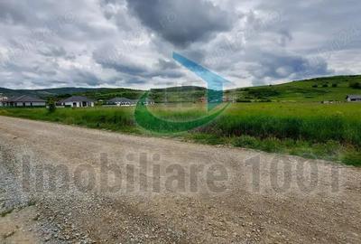 Teren intravilan 6214 mp, Zavoaie, Bistrita, zona rezidentiala in dezvoltare Teren intravilan 6214 mp, Zavoaie, Bistrita, zona rezidentiala in dezvoltare - 3