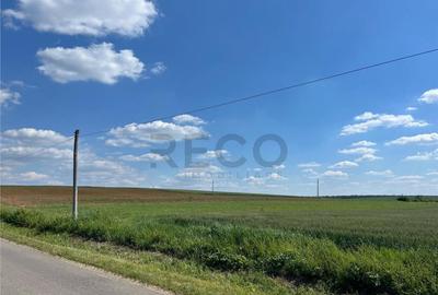 Teren de 10000 mp, în Nojorid - 8