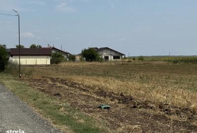 Teren de 590 mp, în Belciugatele - 1