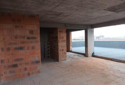 Penthouse: 133.4 mp Utili, Terasa de 113 mp - Sector 4 - 12