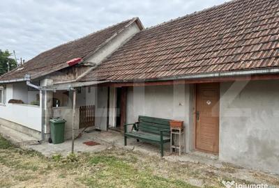 Casă cu 3 camere cu Teren 2400 Mp în Livada - 5