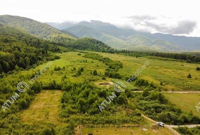 Teren intravilan 3900 mp Porumbacu de Sus, Sibiu - 13