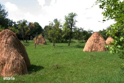 Spațiu comercial, în Valea Danului - 4