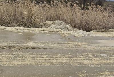 Teren de 110000 mp, în Petrești - 3