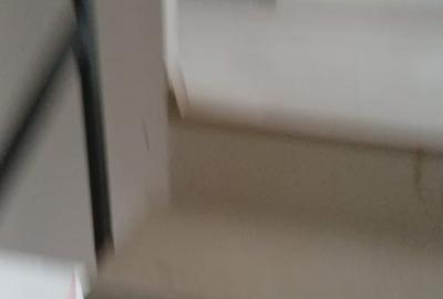 Casă cu 2 camere cu Teren 165 Mp în Alexandriei - 3