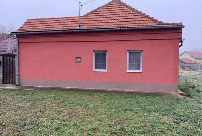 Casa de vanzare in Hodoni jud Timis Casa de vanzare in Hodoni jud Timis - 5