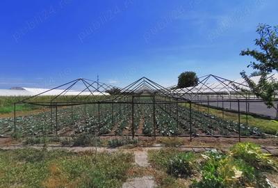 Casă cu 5 camere cu Teren 4365 Mp în Vidra - 3