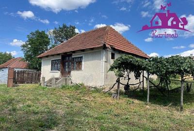 Casa in localitatea Carandeni - 2