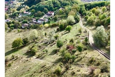 Teren intravilan cu vedere panoramică  4230mp - Mediaș - 5