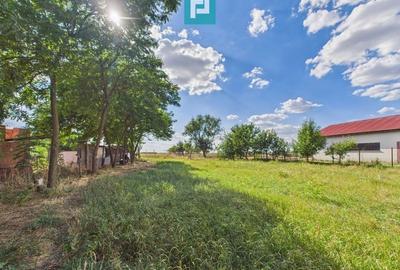 Casă P+E în Dudeștii Noi - 12