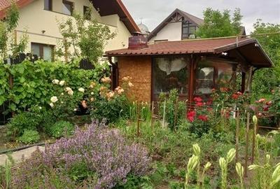 Bacau ,  Vila, la 5 minute de Centrul Orasului - 10