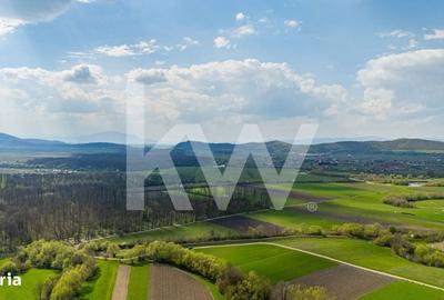 Spațiu comercial, în Lunca Calnicului - 15