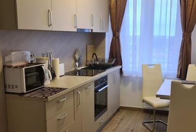 De închiriat apartament cu 2 camere/Renovat/Prima închiriere/Bloc Cicero/Etaj10 - 10