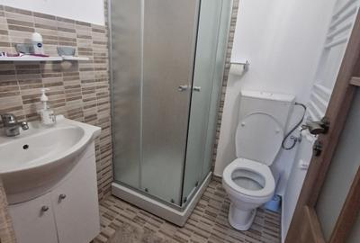 Km 4 - Casa 3 camere mobilata-utilata ,centrala gaze , termen lung -600euro - 26