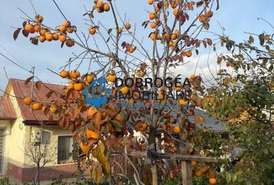 Casă cu 3 camere cu Teren 800 Mp în Mineri - 3