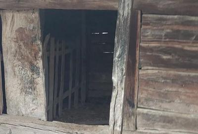 Casă în Telești - 3