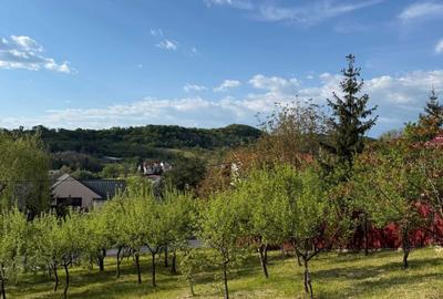Teren de 730 mp, în Ștefănești - 5