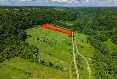 Teren agricol extravilan de 5500 mp, în Valea Mare-Podgoria - 2