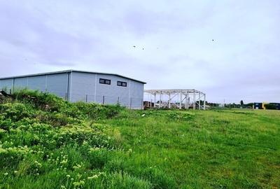 Vanzare Teren  industrial  3000mp Magurele Vanzare Teren  industrial  3000mp Magurele - 3