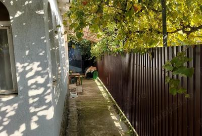 Casă cu 4 camere în Oituz - 10