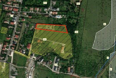 Teren de 5029 mp, în Bună Ziua - 1