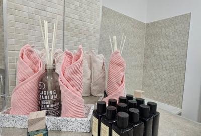 JANDARMERIEI (THE IVY)-2 camere LUXURY, terasa ampla (8 mp), vedere deschisa! - 10